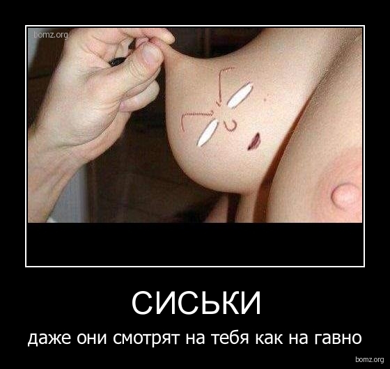 жучок
