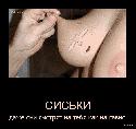 жучок