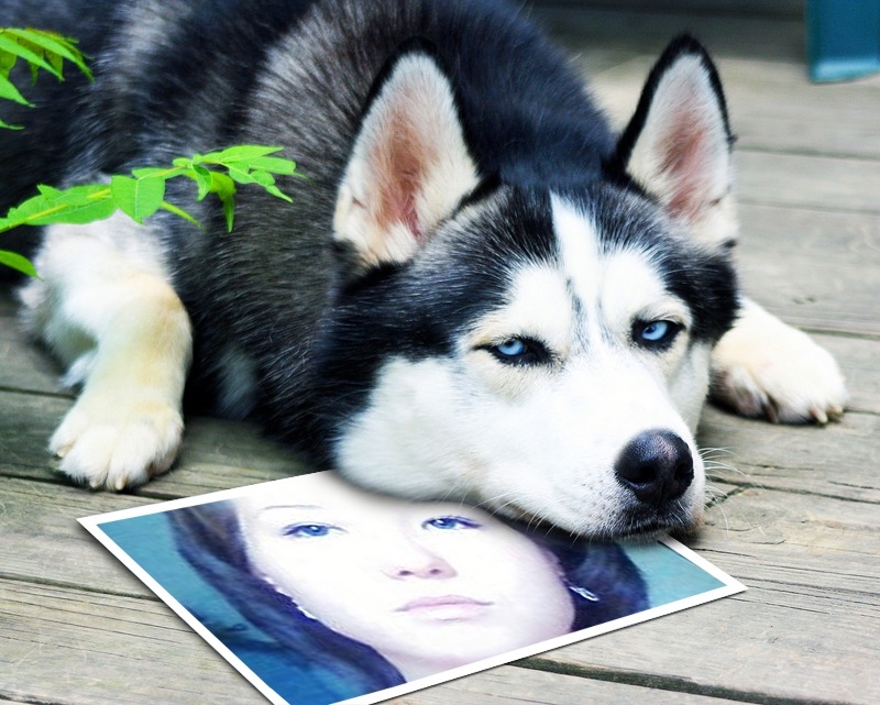loonapix 13606408942265589108