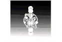 Montre Celeste FD tn