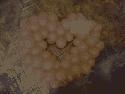 IMG 20140214 160309